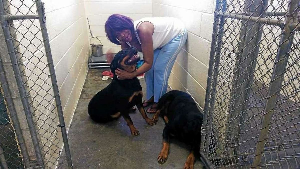 Hamden must move out of North Haven animal shelter